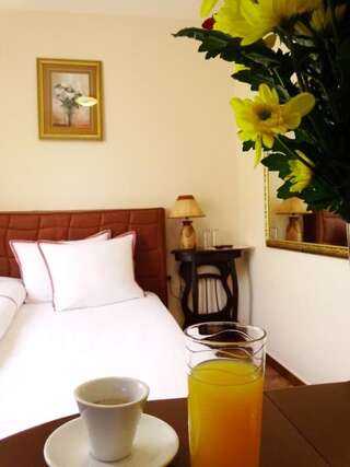 Отель Hotel Simona Complex София Стандартный одноместный номер-2